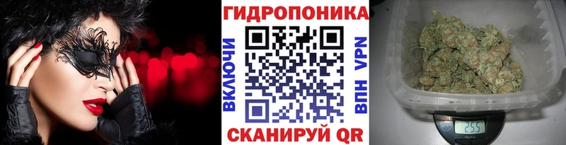 Хочу наркоту Котлас СК Меф мяу мяу КОКАИН Гашиш Галлюциногенные грибы МДМА Конопля