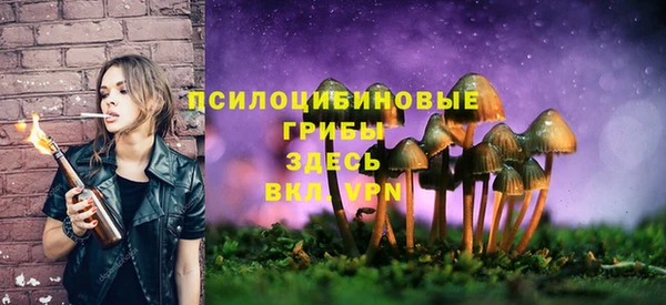 кокаин премиум Богородск