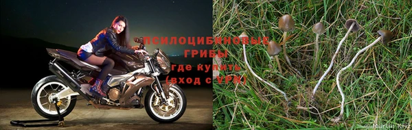 герыч Белокуриха