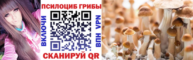 Псилоцибиновые грибы Cubensis Котлас